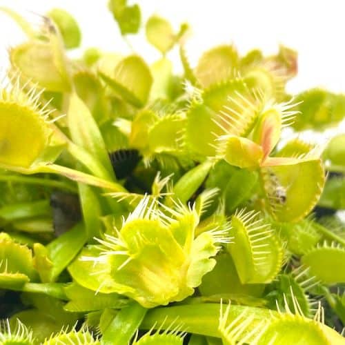 wklrxUXt92lTq17I02ta.jpg wklrxUXt92lTq17I02ta.jpg