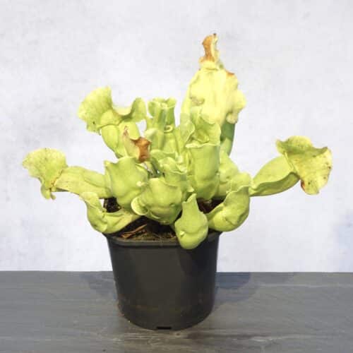 x7BA9c6e2bdKE0SByRSe.jpg x7BA9c6e2bdKE0SByRSe.jpg