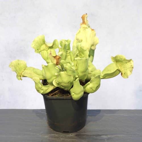 x7BA9c6e2bdKE0SByRSe.jpg x7BA9c6e2bdKE0SByRSe.jpg