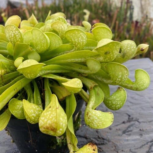 x7EdSg4WH3PUUkhWEgGr.jpg x7EdSg4WH3PUUkhWEgGr.jpg