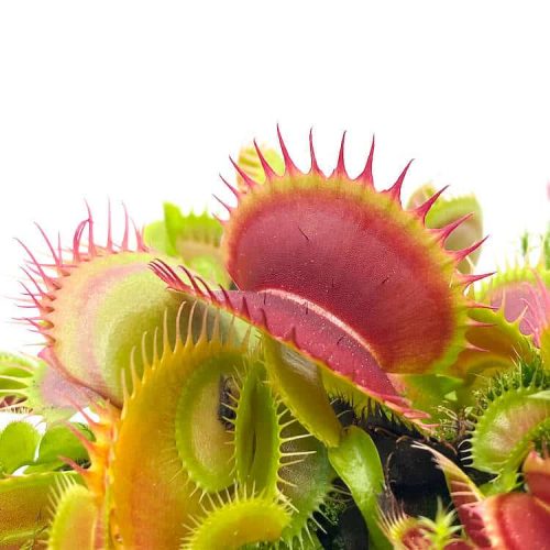 x88OLMON7jABmeMyE4Su.jpg x88OLMON7jABmeMyE4Su.jpg