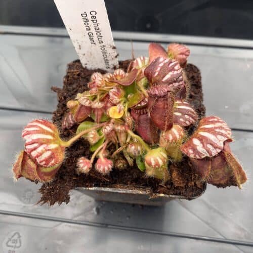 xCOJ5ZjAsoCTZLddOibs.jpg xCOJ5ZjAsoCTZLddOibs.jpg