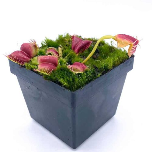 xUrRwswBmsKi8KjekxoY.jpg xUrRwswBmsKi8KjekxoY.jpg