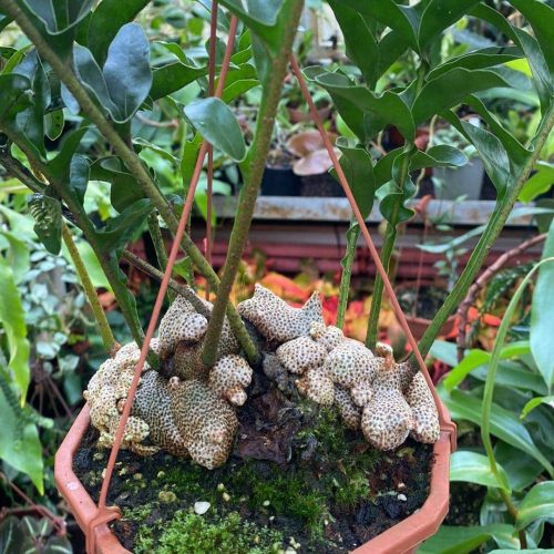 xdohq5OIRm6sQdYRe9oe.jpg xdohq5OIRm6sQdYRe9oe.jpg