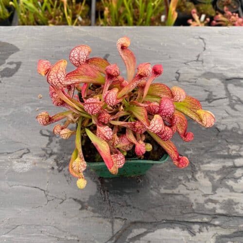 xeCHhbfqckOmPBfSvbfR.jpg xeCHhbfqckOmPBfSvbfR.jpg