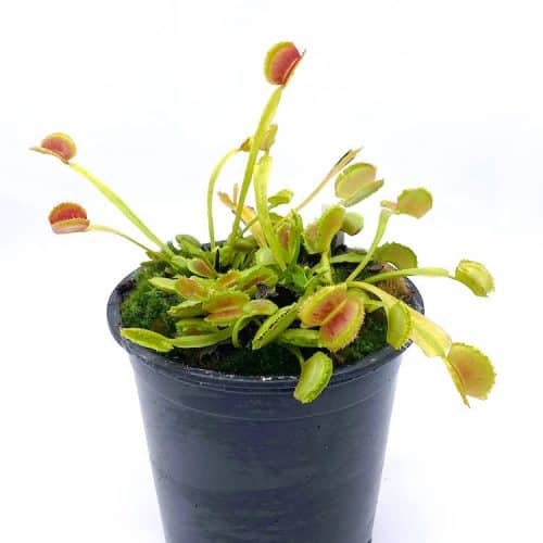 xebkRQ7BtcamkzHUIRei-1.jpg xebkRQ7BtcamkzHUIRei-1.jpg