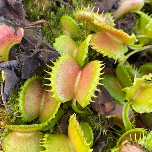 xgXEyfuCdHtAen6UZWrV.jpg xgXEyfuCdHtAen6UZWrV.jpg