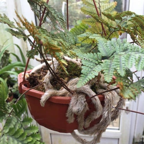 xjBXvhBi570p88IsCHtw.jpg xjBXvhBi570p88IsCHtw.jpg