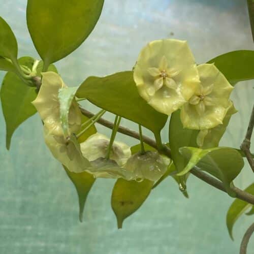 xryek1oQe0MCc0VRRScv.jpg xryek1oQe0MCc0VRRScv.jpg