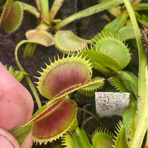 xwkUAD0vs4o3sU7znZNN.jpg xwkUAD0vs4o3sU7znZNN.jpg