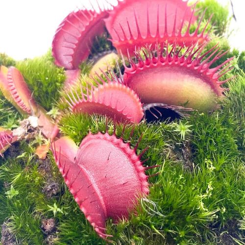 yiEmA8J9tLL3B4XKl5ft.jpg yiEmA8J9tLL3B4XKl5ft.jpg