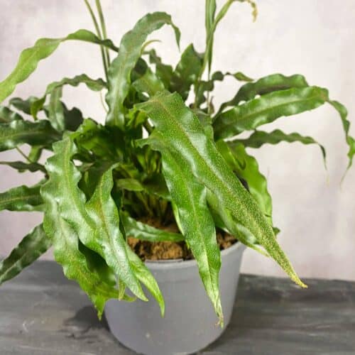 yp8q2XYHBCojLgqUghGG.jpg yp8q2XYHBCojLgqUghGG.jpg