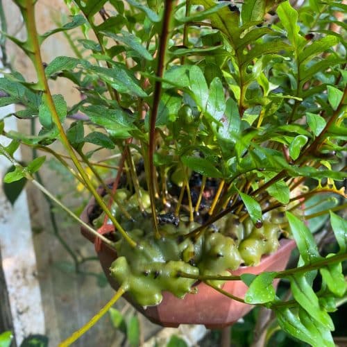 yuQXNh8RdWuleNBxnYNG.jpg yuQXNh8RdWuleNBxnYNG.jpg