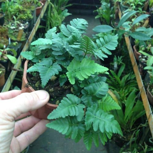 yyeTLhf9aCzA7kUhmOQN.jpg yyeTLhf9aCzA7kUhmOQN.jpg