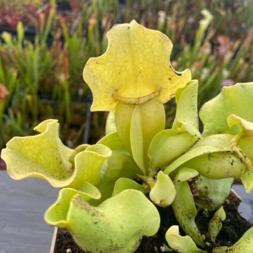 z3AnOWrpNxsKGdal9Ac5.jpg z3AnOWrpNxsKGdal9Ac5.jpg