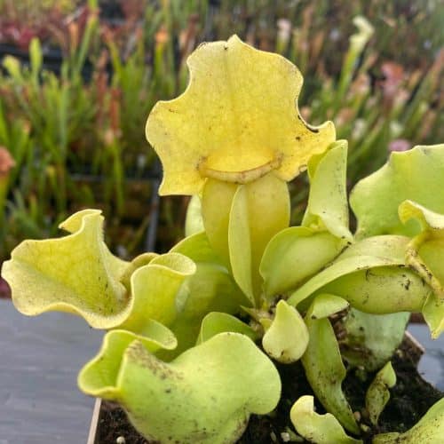 z3AnOWrpNxsKGdal9Ac5.jpg z3AnOWrpNxsKGdal9Ac5.jpg