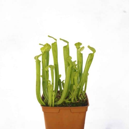 z3XIbPMnZ4APZzbPcIpB.jpg z3XIbPMnZ4APZzbPcIpB.jpg