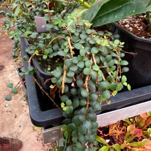 z4KsdJUvWJRf09T50rXd.jpg z4KsdJUvWJRf09T50rXd.jpg