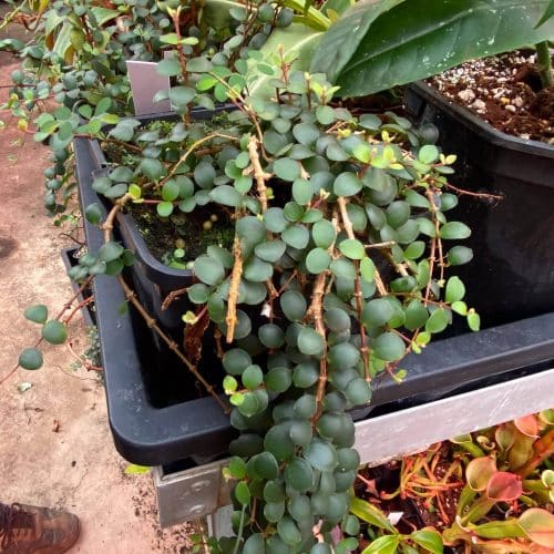 z4KsdJUvWJRf09T50rXd.jpg z4KsdJUvWJRf09T50rXd.jpg