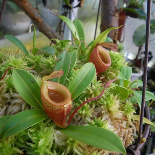 z4sKlIb6aEi0uFH0uesB.jpg z4sKlIb6aEi0uFH0uesB.jpg