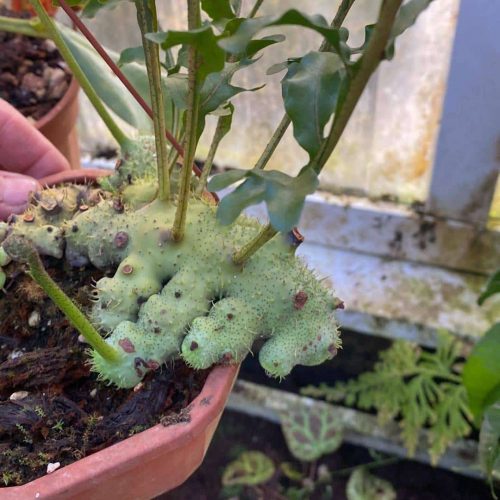 z60Oo1tISVFw5aibTuQP.jpg z60Oo1tISVFw5aibTuQP.jpg