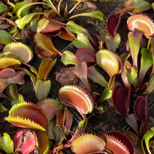 zIuj9n66jtOvFeKyrbhh.jpg zIuj9n66jtOvFeKyrbhh.jpg