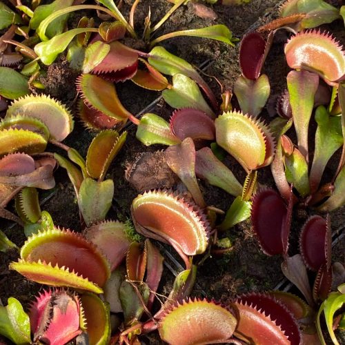 zIuj9n66jtOvFeKyrbhh.jpg zIuj9n66jtOvFeKyrbhh.jpg