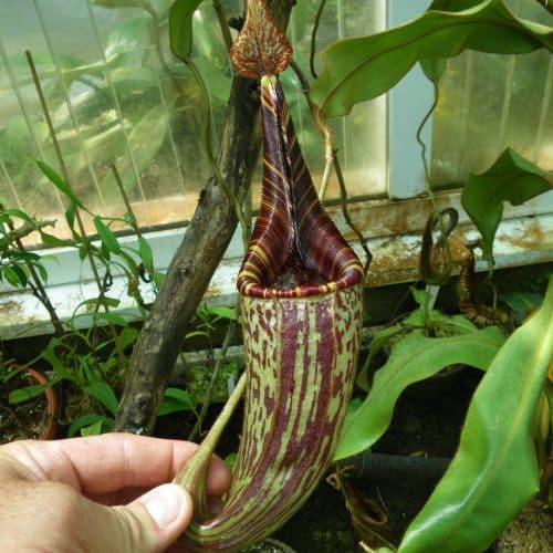 zMhsfdzdDOrkHDTsTRAM.jpg zMhsfdzdDOrkHDTsTRAM.jpg