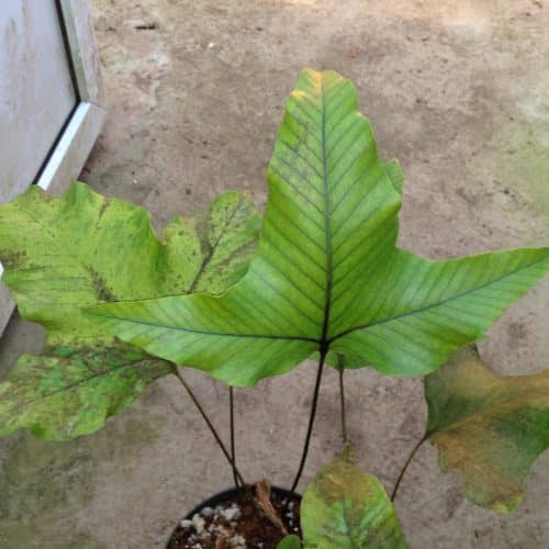 zMuDspxr4imaPlwOqydk.jpg zMuDspxr4imaPlwOqydk.jpg