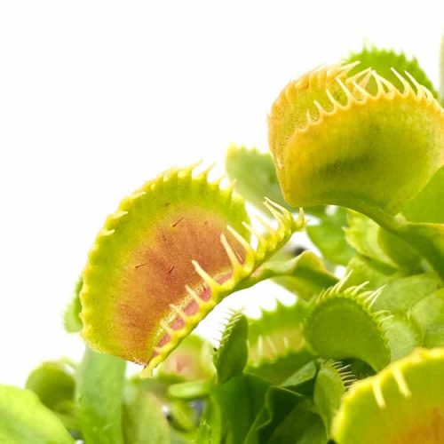 zRFswV8tXZZK4F8fmudE.jpg zRFswV8tXZZK4F8fmudE.jpg