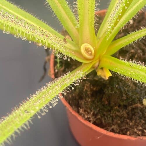 zSnR5xG4QyAMaO4hIRSv.jpg zSnR5xG4QyAMaO4hIRSv.jpg