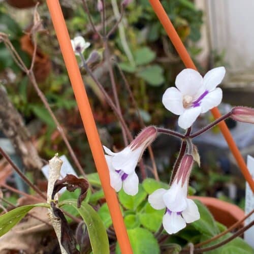 zZPwMkO00W7OjkNoE6Ah.jpg zZPwMkO00W7OjkNoE6Ah.jpg