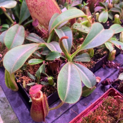 zdrDdHbp93hOzJBbh8Zc.jpg zdrDdHbp93hOzJBbh8Zc.jpg