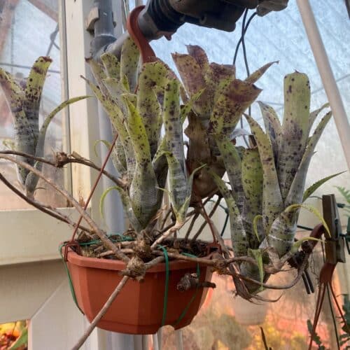 zooPA77o8wvC5A9arClh.jpg zooPA77o8wvC5A9arClh.jpg