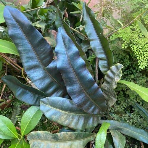 zrHL53gEaMuEpTIkUC5Z.jpg zrHL53gEaMuEpTIkUC5Z.jpg