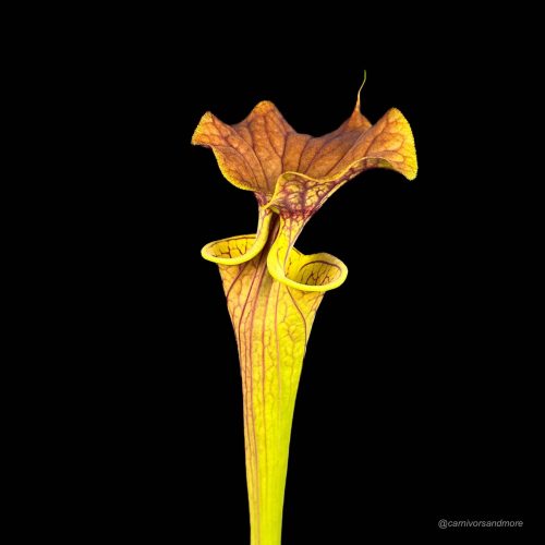 20yOYhkFKBm2WUQjMSbe.jpg 20yOYhkFKBm2WUQjMSbe.jpg