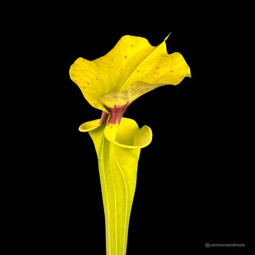 3CklSbCg3MOwXCUMuRrD.jpg 3CklSbCg3MOwXCUMuRrD.jpg