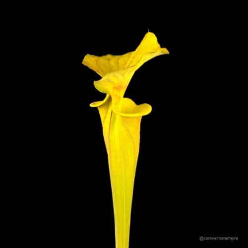 PRmIDQ6BaGMefaU794H2.jpg PRmIDQ6BaGMefaU794H2.jpg