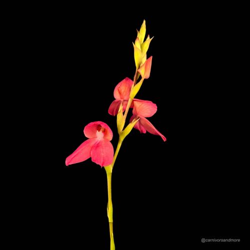 RkPYwbh7ityJzNLsStk1.jpg RkPYwbh7ityJzNLsStk1.jpg