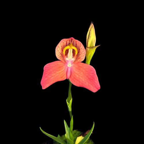 RkydWZrvezLBgXaEn7CO.jpg RkydWZrvezLBgXaEn7CO.jpg