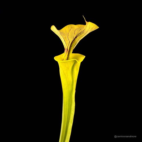 UiE4PB5wYLrnyLOUrnWY.jpg UiE4PB5wYLrnyLOUrnWY.jpg