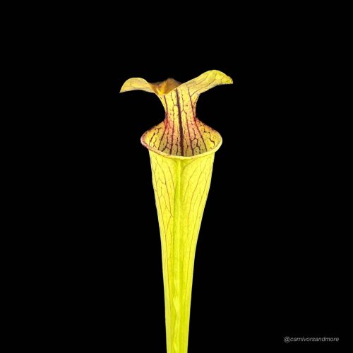 a3Bux13A3j46aweiAJjr.jpg a3Bux13A3j46aweiAJjr.jpg