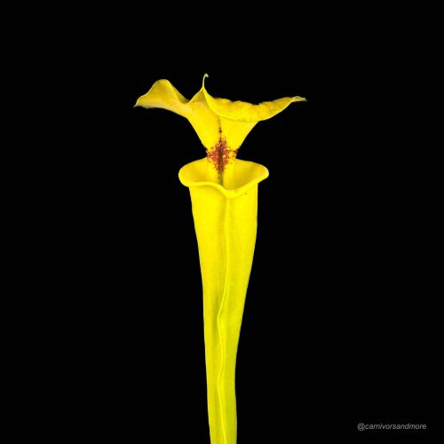 qCTeam9Btddg0hCgtQoL.jpg qCTeam9Btddg0hCgtQoL.jpg