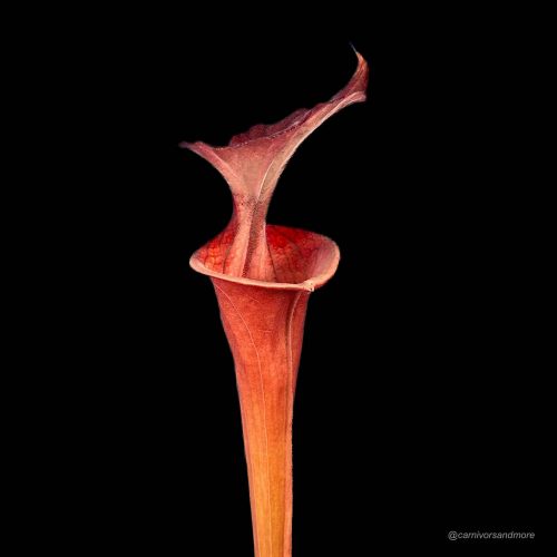 v80ruqZTdX5GJotnCOcr.jpg v80ruqZTdX5GJotnCOcr.jpg