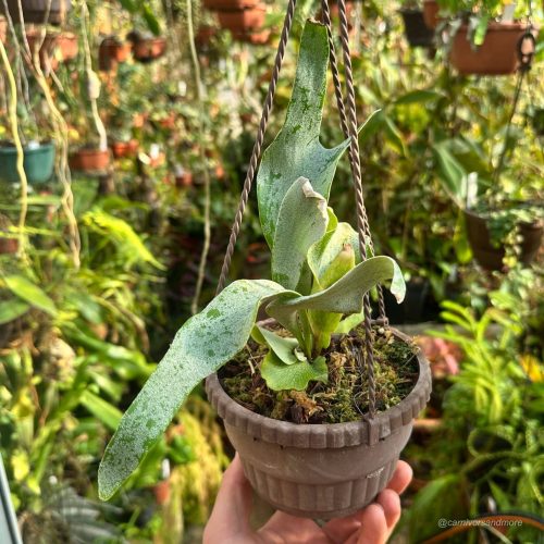 gbeJXoSYBkCDtvFipoHc.jpg gbeJXoSYBkCDtvFipoHc.jpg