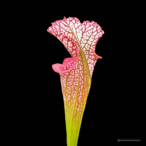 2eVgXFbH7UkMpkA0t34c.jpg 2eVgXFbH7UkMpkA0t34c.jpg