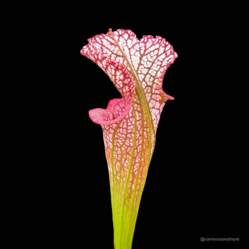 2eVgXFbH7UkMpkA0t34c.jpg 2eVgXFbH7UkMpkA0t34c.jpg