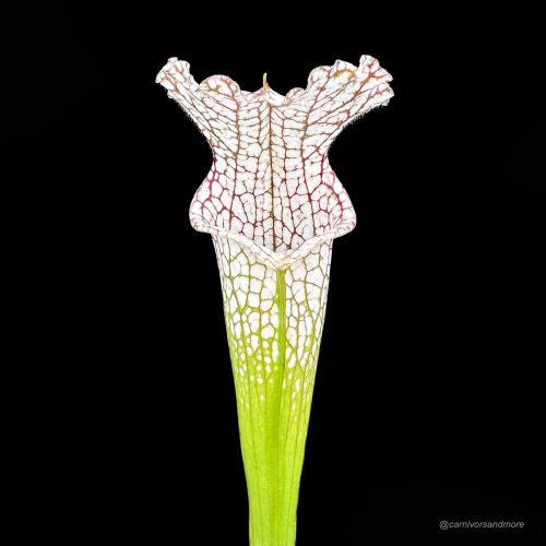 3I3QPz2tpJDRoh9JLJgi.jpg 3I3QPz2tpJDRoh9JLJgi.jpg