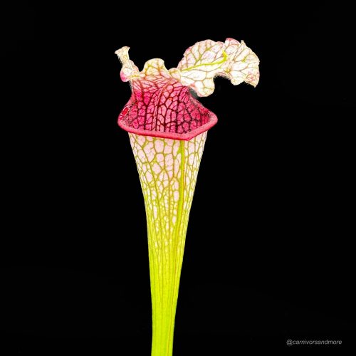 7KWANYQHsy0E898Qln2A.jpg 7KWANYQHsy0E898Qln2A.jpg