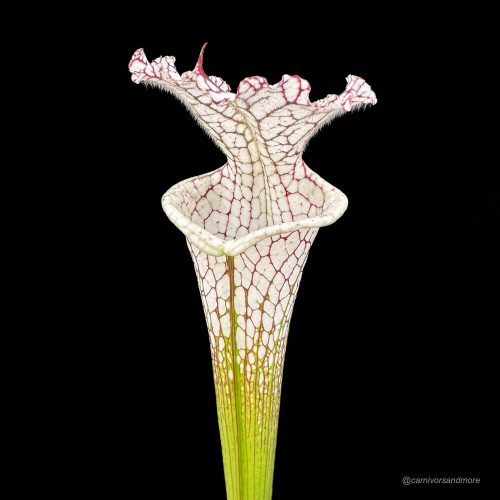 AU9MdRdxaiyXvzn5tj43.jpg AU9MdRdxaiyXvzn5tj43.jpg